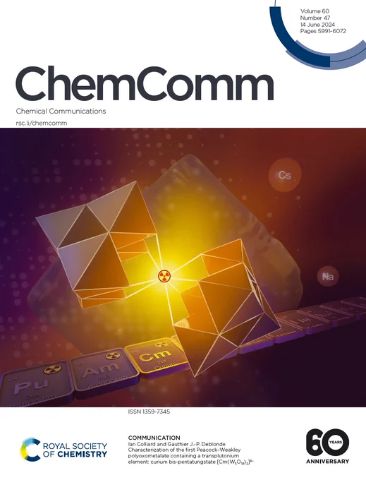 https://pubs.rsc.org/en/content/articlelanding/2024/cc/d4cc90192d
