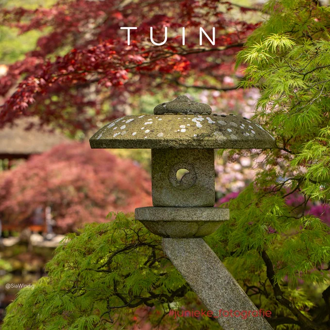 De Japanse Tuin Clingendael