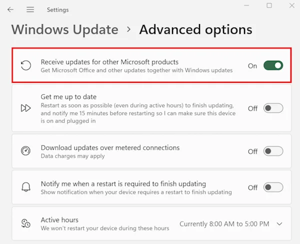 A screenshot of the advanced Windows Updates options, showing the option to "Receive updates for other Microsoft products" being checked.