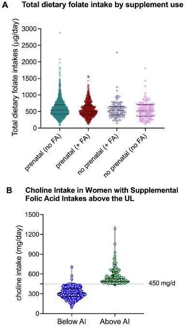 Figure depicts Total dietary folate and choline intakes by prenatal vitamin and folic acid supplement users in the CHILD cohort study (18 weeks of gestation). (A) Total dietary folate intakes in women who took: a prenatal supplement but did not take a folic acid supplement (prenatal (no FA)); a prenatal supplement and a folic acid supplement (prenatal ( FA)); no prenatal supplement but took a folic acid supplement (no prenatal ( FA)); and no prenatal supplement and no folic acid supplement (prenatal (no FA)); (B) choline intake in women with supplemental folic acid intakes about the upper intake level (UL) (n = 378) (choline adequate intake (AI), 450 mg/day).
