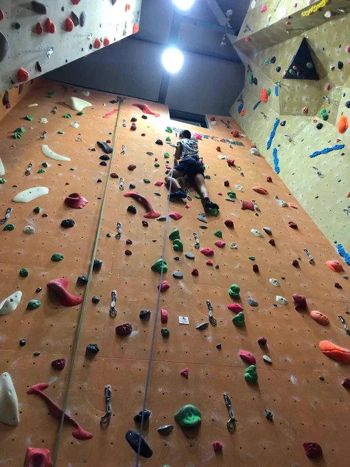 A boy nearing the top of an indoor climbing wall