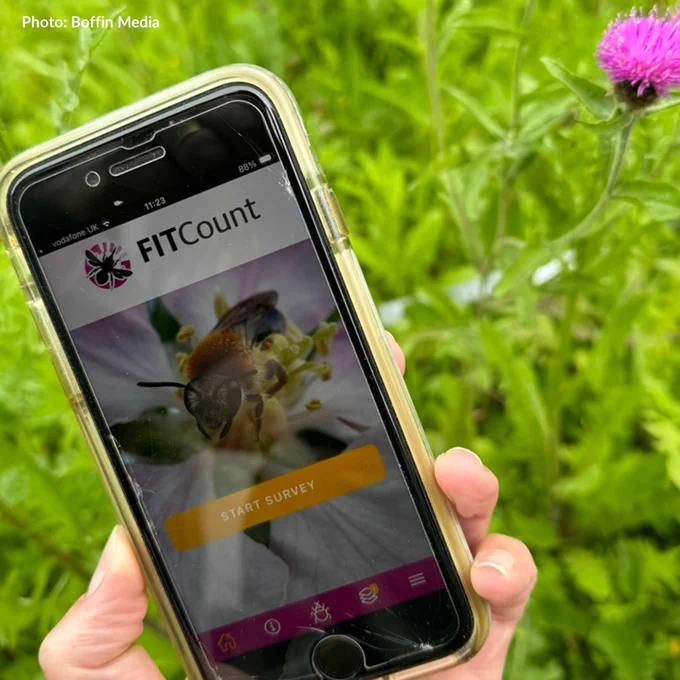 Close-up of hand holding phone with FIT Count app