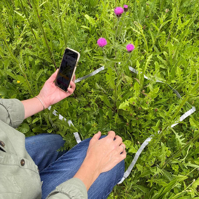 Person kneeling in front of flowers holding the FIT Count app