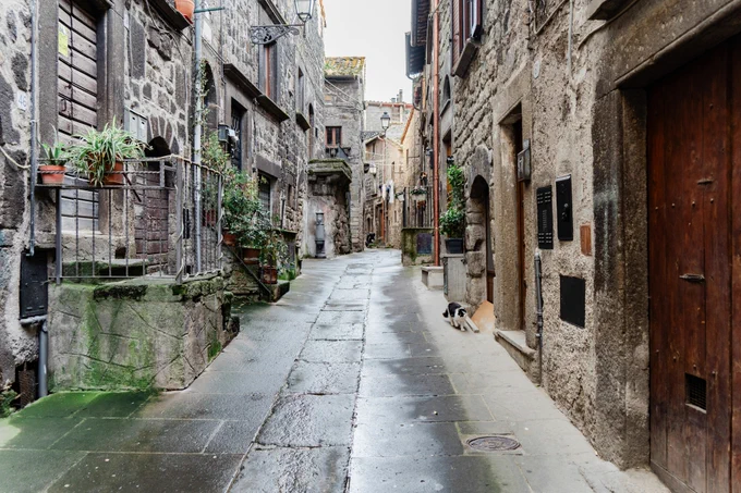 Vitorchiano, VT, Italy
Published 13 days ago
SONY, ILCE-7M3
Free to use under the Unsplash License