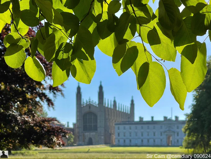 King’s College Chapel, Cambridge, viewed from The Backs on Sunday morning, 9 June 2024. Leaves frame the top of the photo.