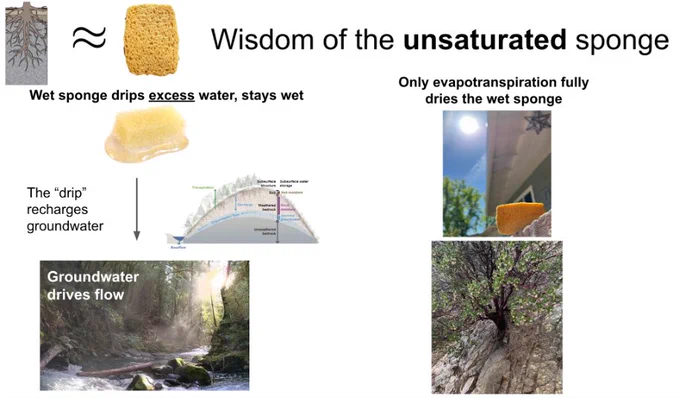 Figure 4: The wisdom of the sponge