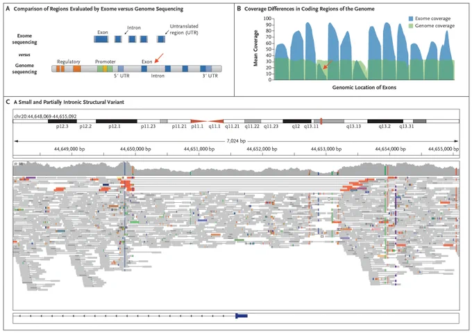 Examples of Variants or Regions Requiring Genome Sequencing.