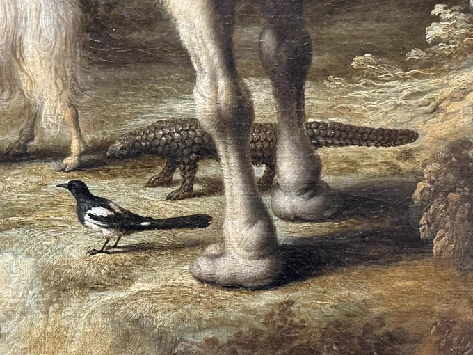 closeup showing the pangolin standing under the camel’s feet in the lower right corner