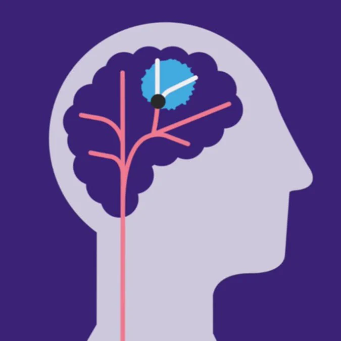 Diagram showing how a clot in the brain can starve the surrounding area of oxygen. 