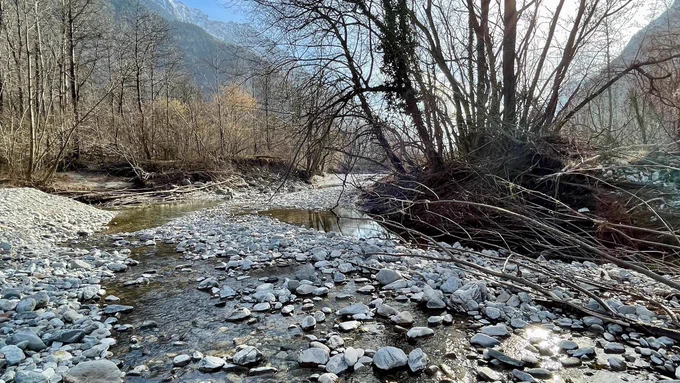 The interaction between flow, sediment transport and vegetation is crucial to predict riverbed evolution.