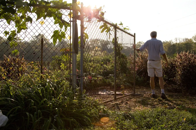 A man stands off to the side of a fence at an Ohio University garden.