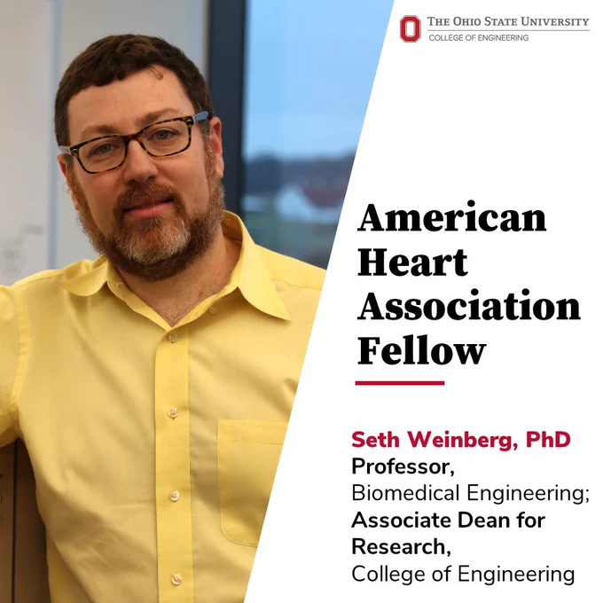 Photo of Seth Weinberg. Text reads American Heart Association Fellow. Seth Weinberg, PhD
Professor, Biomedical Engineering;
Associate Dean for Research,
College of Engineering