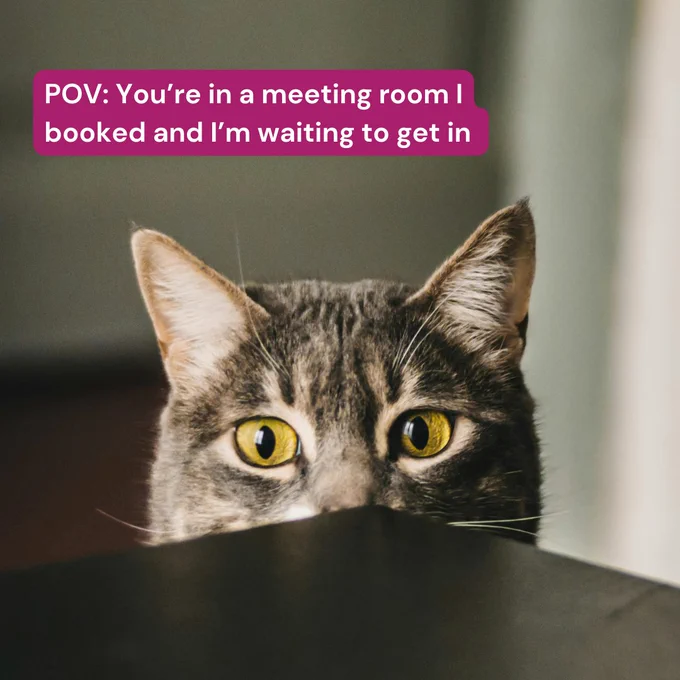 Tabby cat with vivid yellow eyes peering over the edge of a table, with text that reads: "POV: You’re in a meeting room I booked and I’m waiting to get in.