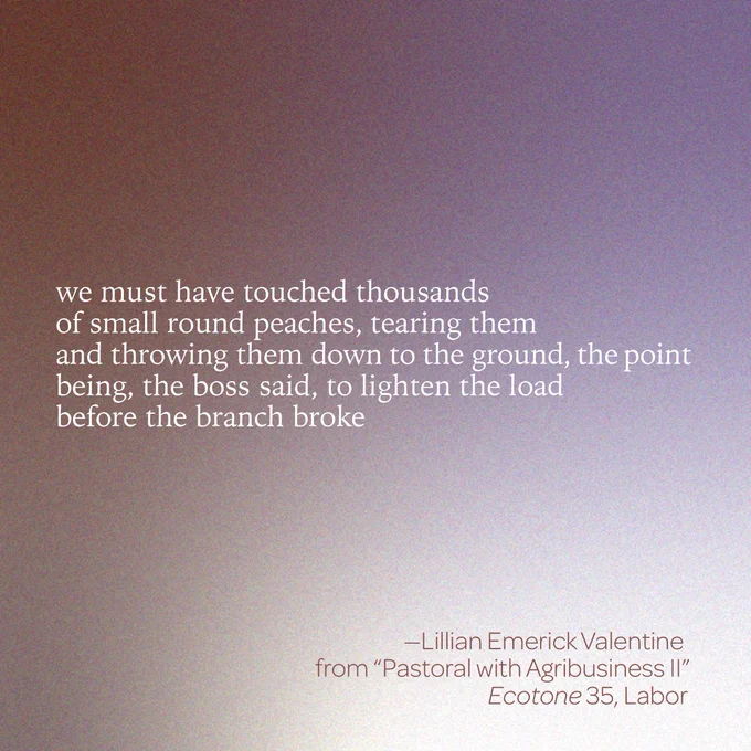 “we must have touched thousands / of small round peaches, tearing them / and throwing them down to the ground, the point / being, the boss said, to lighten the load / before the branch broke” 
--Lillian Emerick Valentine 
from “Pastoral with Agribusiness II” 
Ecotone 35, Labor 