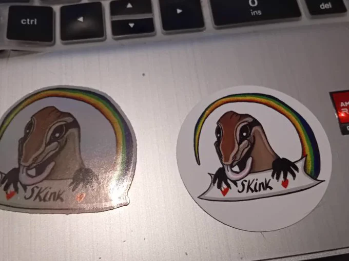 tickers of equaility skink rough on laptop