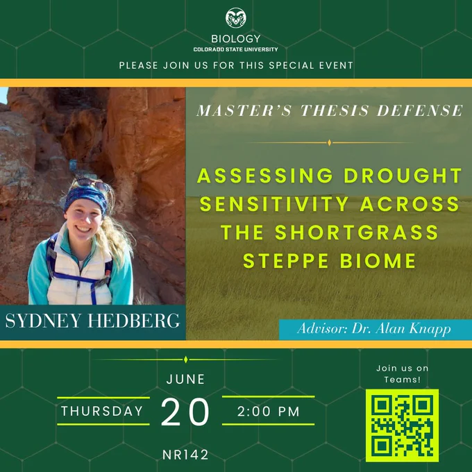 Green background with faint hexagonal overlay with the Biology logo at the top in white. Two horizontal gold bars section off the middle and contains a photo of Sydney to the left and her thesis title to the right against a landscape image of a short grass steppe biome. Below in bright green and white is the date, time and location. A QR code to join virtually on Teams is in the bottom right corner.