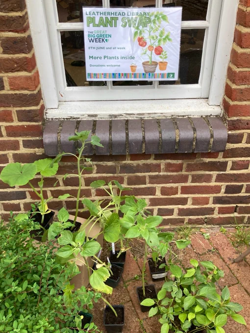 Photo of plants in pots by a brick wall with poster text Plant Swap