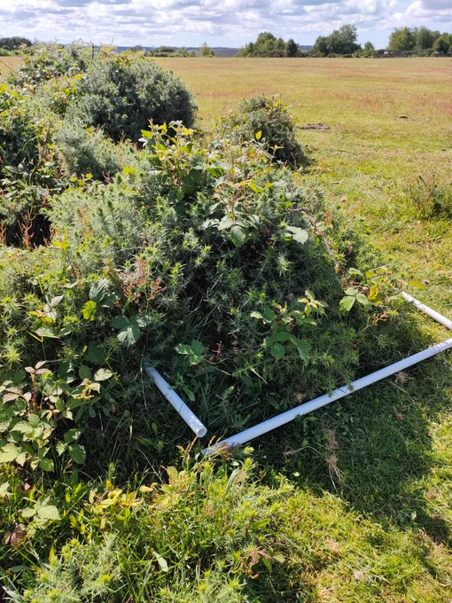 Quadrat on a heathland site. 