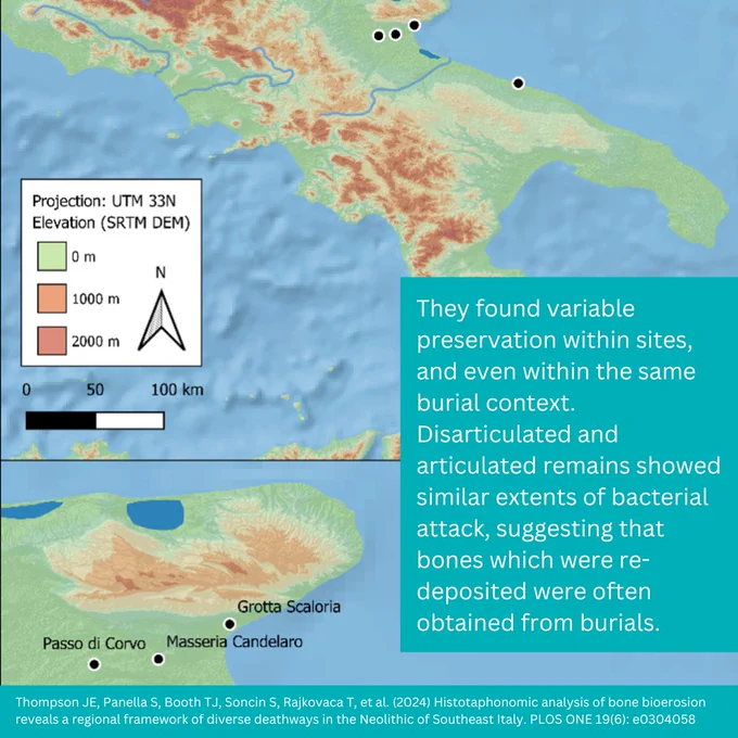 They found variable preservation within sites, and even within the same burial context. Disarticulated and articulated remains showed similar extents of bacterial attack, suggesting that bones which were re-deposited were often obtained from burials.