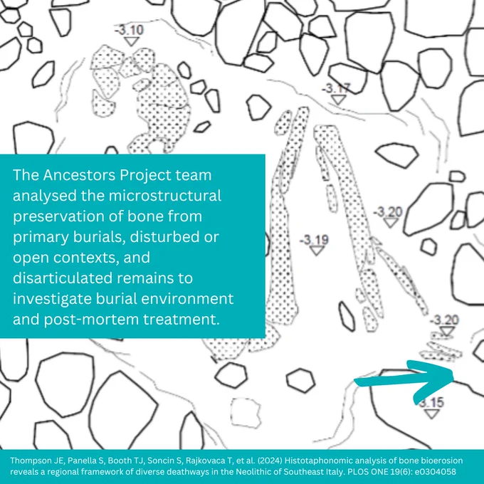 The Ancestors Project team analysed the microstructural preservation of bone from primary burials, disturbed or open contexts, and disarticulated remains to investigate burial environment and post-mortem treatment.