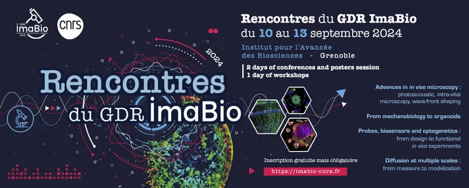 This new format includes 2 days devoted to conferences about live bioimaging, photonics and image analysis. The second part of the rencontres will be organized around round tables and workshops in the hosting labs.

Indicate your wishes to attend the workshop. A selection will be done on wishes and a draw.

Up to five short talks (20min) will be selected in each theme of the conference and about 30 posters will be selected. Four themes have been selected to guide this 2-day conference, however you can attend for short talks or poster in any fields of research covered by IMABIO. Young scientists are welcomed. Do not hold back and submit your abstract!

