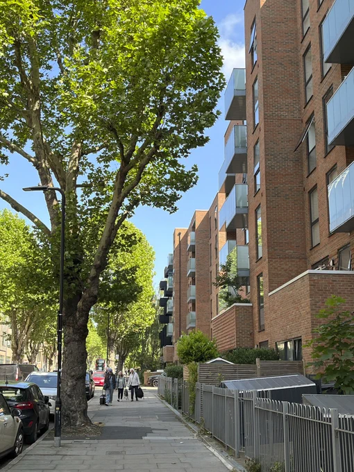 A tree-lined street, with mid-rise flats on one side.