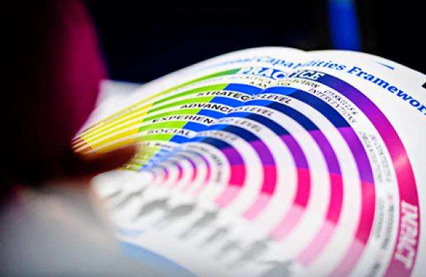Professional Capabilities Framework