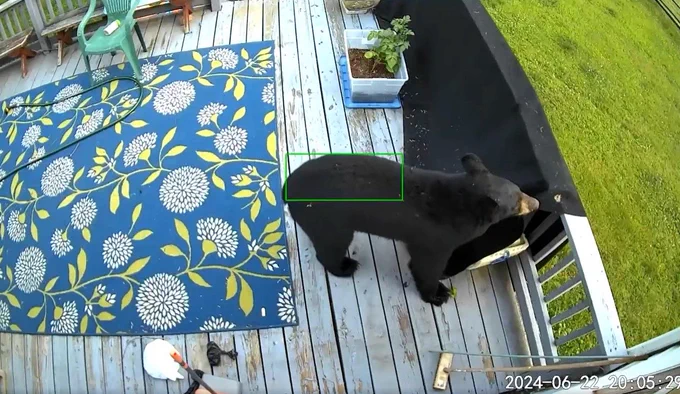 A bear on a back porch.