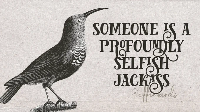 A woodcut of a bird beside the text "someone is a profoundly selfish jackass"