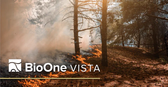 BioOne VISTA logo. A line of wildfire in a forest.