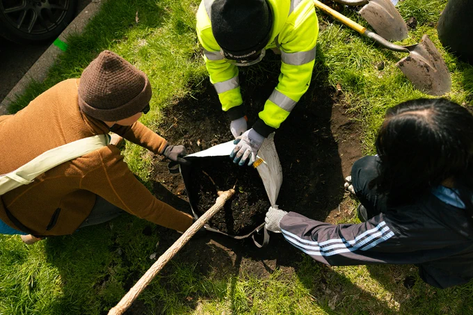 Three people digging a hole in the ground, working together with shovels and determination.