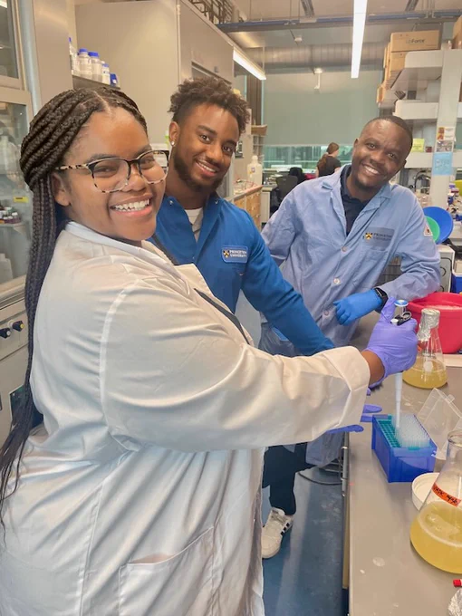 Three individuals (Professor Chakafana in the back) working in the lab at Princeton Chemistry.
