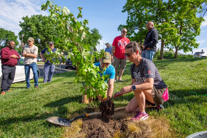 Aaron Clare, a conservation forester with the Nebraska Forest Service, and Ann Powers, a lecturer in the School of Natural Resources, plant the sweetgum "Moon Tree" on East Campus on June 4