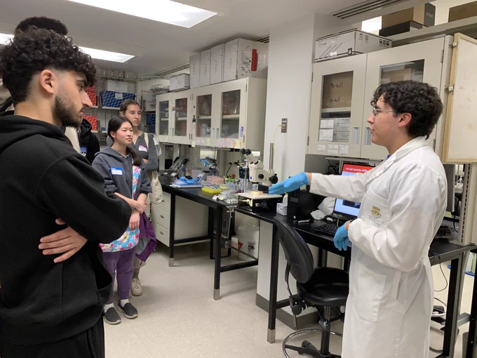 StemCellTalks