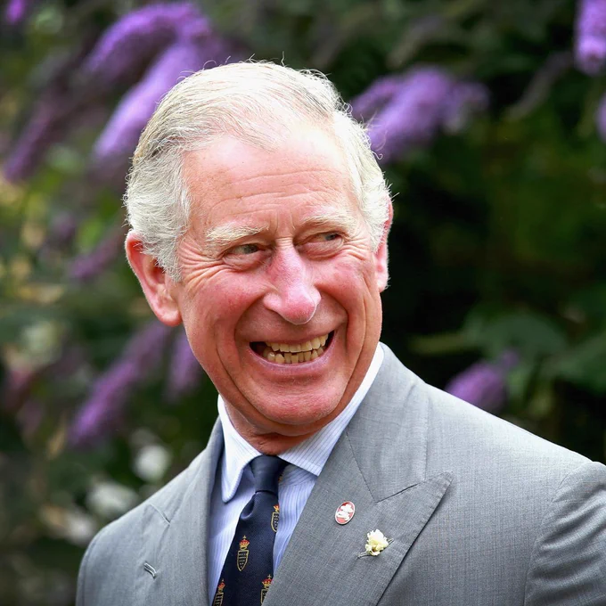 Photo of His Majesty The King