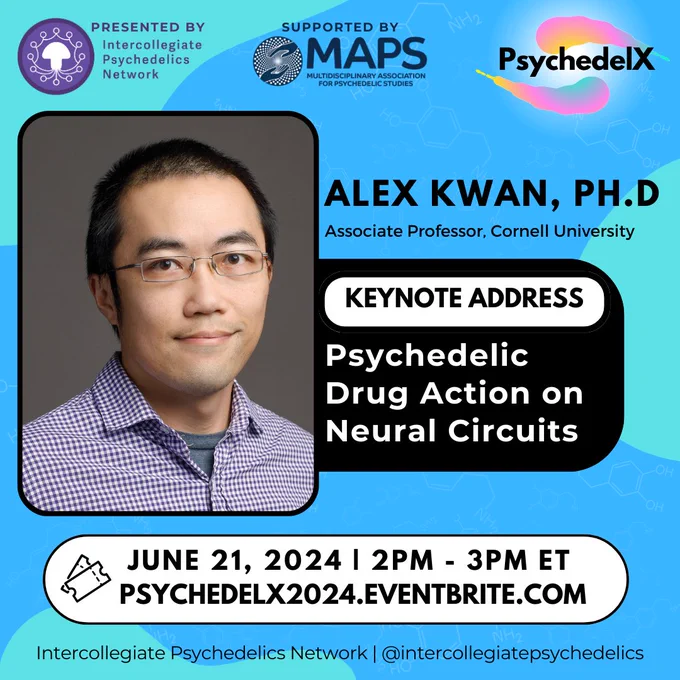 ALEX KWAN, PH.D
Associate Professor, Cornell University
KEYNOTE ADDRESS
Psychedelic
Drug Action on
Neural Circuits
JUNE 21, 2024 | 2PM - 3PM ET
PSYCHEDELX2024.EVENTBRITE.COM