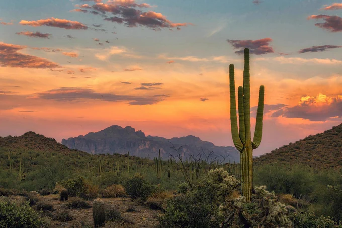'Saguaro Sunrise' by Brent Coulter