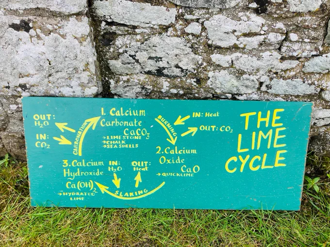 A green sign leaning against a stone wall, the text reads 'The Lime Cycle'