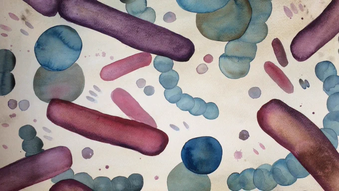 CTMR microbiome, watercolor by Ina Schuppe Koistinen.