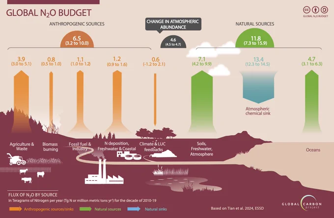 graphic with bar graph of Global N2O budget