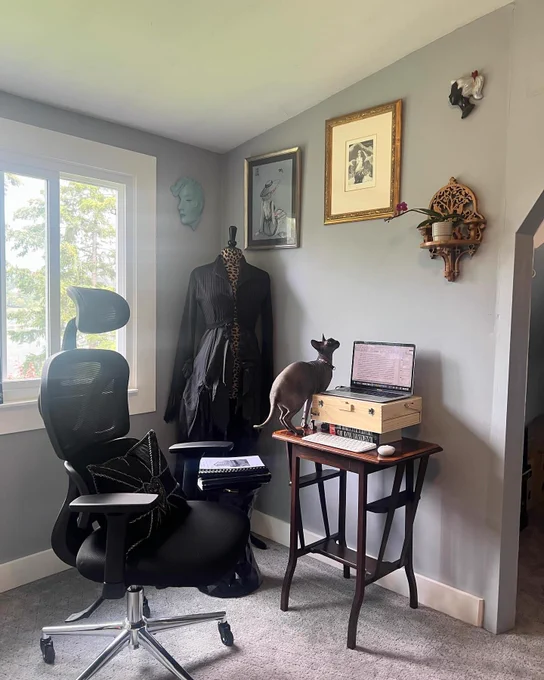 We see Tara Rae’s alcove, with a chair and little table. Her hairless sphynx is practically on the keyboard.