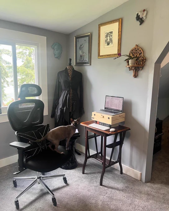 We see Tara Rae’s alcove, with a chair and little table. Her hairless sphynx cat watches.