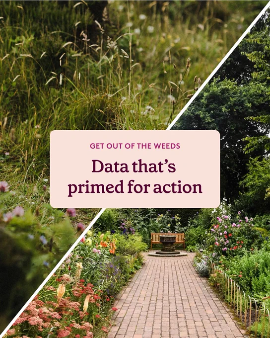 A serene garden path lined with lush green plants and colorful flowers leads to a wooden bench, set against a densely vegetated background. A sign in the foreground reads, "GET OUT OF THE WEEDS, Data that's primed for action."
