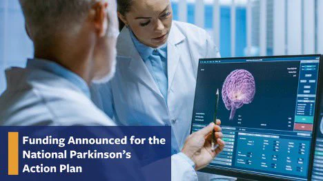 This image shows a doctor and patient looking at a computer screen with an image of a brain on it.