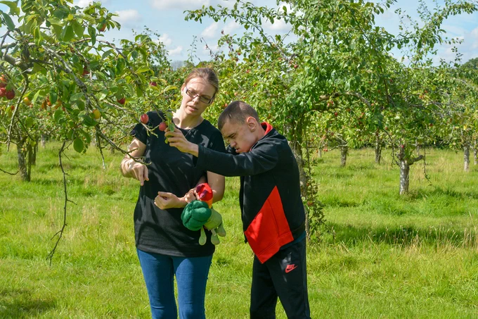 Jesse is wearing black and red and is stood next to his support worker who is wearing a black t shirt and blue jeans. Jesse is reading out to touch an apple dangling from a tree. The background is bright green grass and lot's of apple trees.