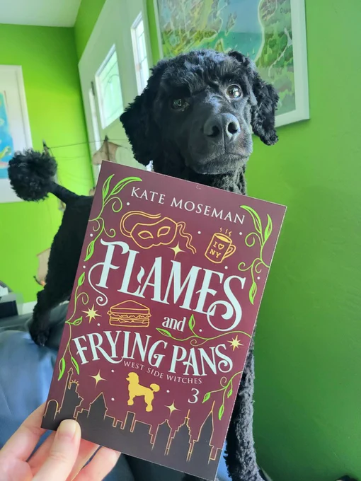 A black miniature poodle looking at a paperback copy of Flames and Frying Pans by Kate Moseman