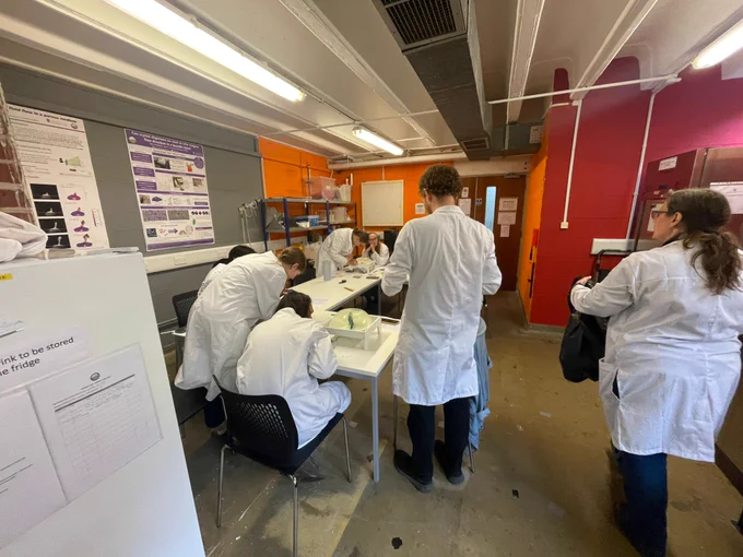 Some of the workshop members in the volcanology lab. 