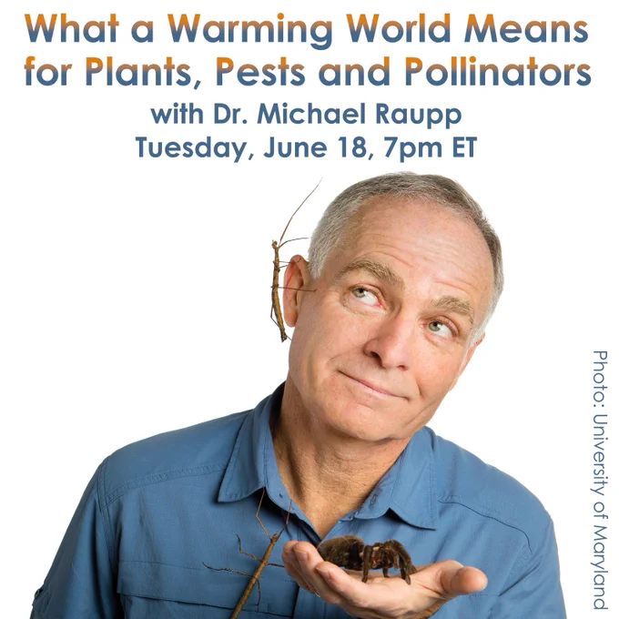 Head and shoulders image of Michael Raupp against a white background, holding a spider in one hand with two twig-like insects on his shirt and his ear. Text: "What a Warming World Means for Plants, Pests and Pollinators" with Dr. Michael Raupp, Tuesday, June 18, 7pm ET