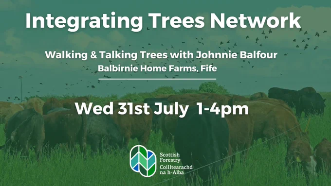Integrating Trees Network: Walking & Talking Trees with Johnnie Balfour, Balbirnie Home Farms, Fife. Wed 31st July 1-4pm