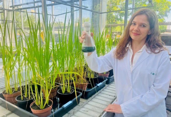 https://cadenaser.com/andalucia/2024/06/24/el-jurado-de-los-premios-losada-villasante-da-a-conocer-a-los-ganadores-en-investigacion-cientifica-agroalimentaria-innovacion-y-economia-circular-radio-sevilla/